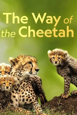 The Way of the Cheetah (2022) - Subtitrat in Romana