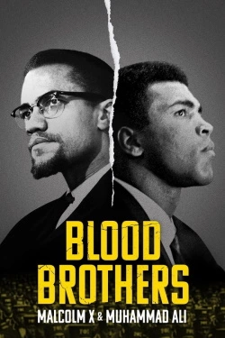 Blood Brothers: Malcolm X & Muhammad Ali (2021) - Subtitrat in Romana