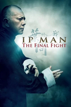 Vizioneaza Ip Man: The Final Fight (2013) - Subtitrat in Romana