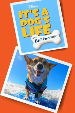 Vizioneaza It's a Dog's Life with Bill Farmer (2020) - Subtitrat in Romana episodul 